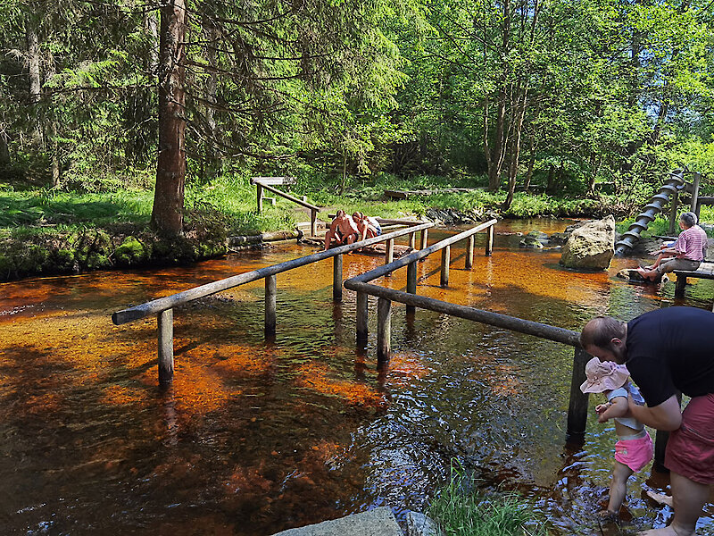 Bayerischer Wald Freizeittipps Familien